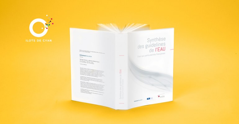 Création de la maquette, mise en page du livre avec figures et tableaux, sommaire automatique